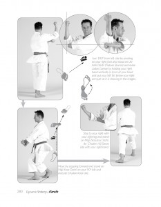 Shitoryu Karate by Tanzadeh -033